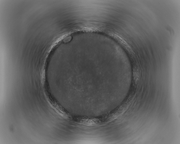 X0000110860488200907021419