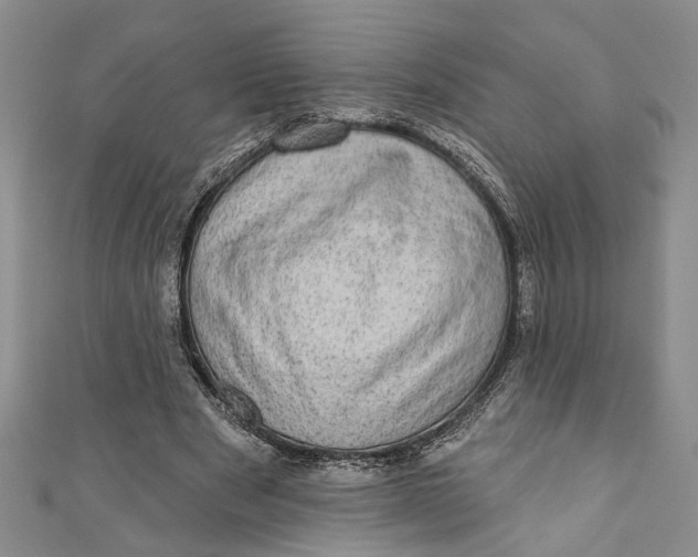 X0000110860489200907021419