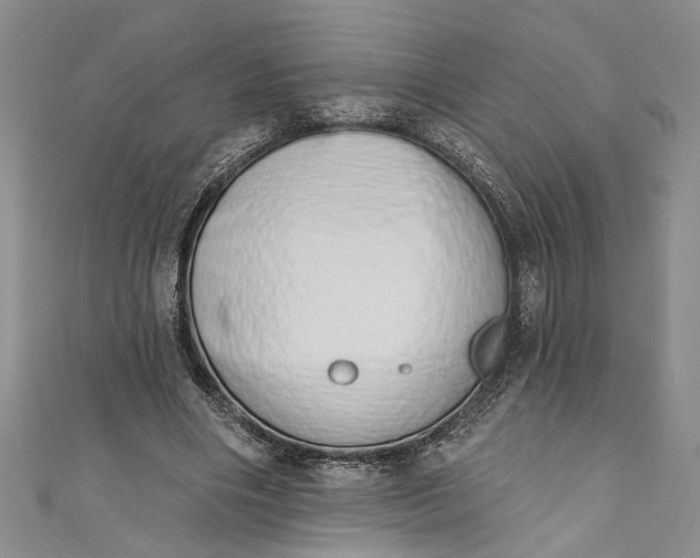 X0000110860490200907021419