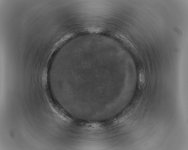 X0000110860492200907021419