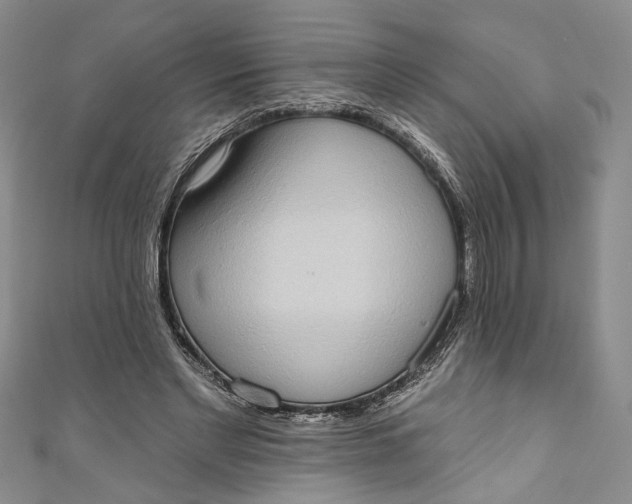 X0000110860493200907021419