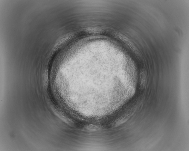 X0000110860494200907021418