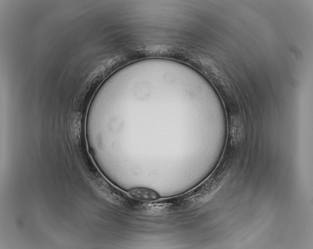 X0000110860495200907021418