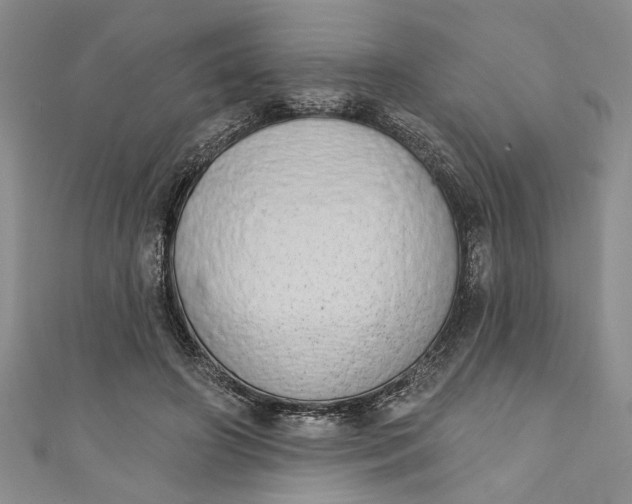 X0000110860498200907021418