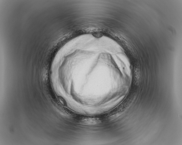 X0000110860499200907021418