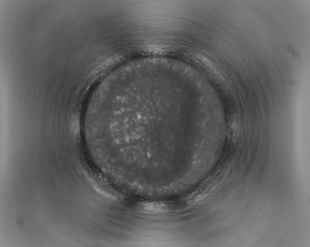 X0000110860500200907021418