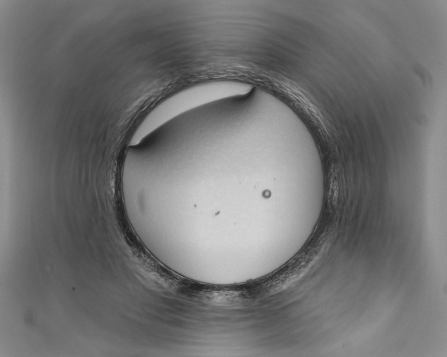 X0000110860501200907021418