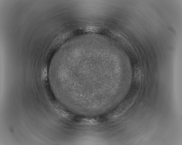 X0000110860502200907021418