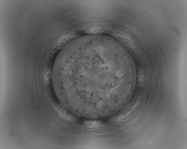 X0000110860503200907021418