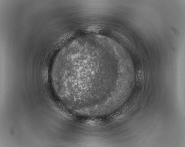 X0000110860504200907021418