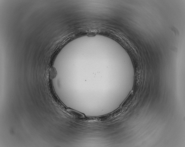 X0000110860505200907021418