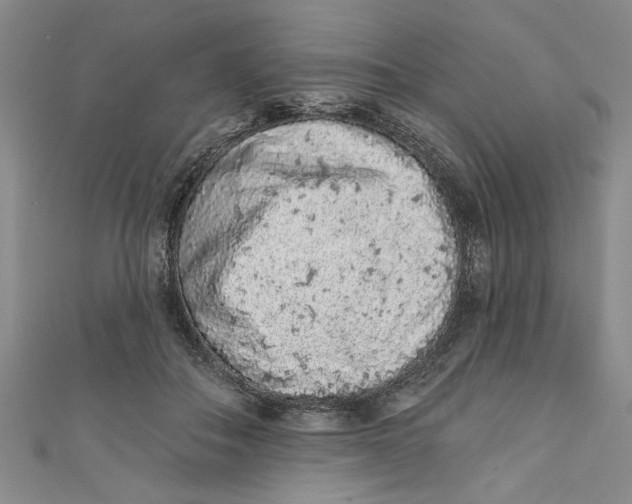 X0000110860506200907021418