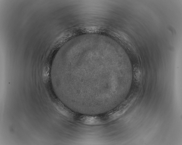 X0000110860507200907021418