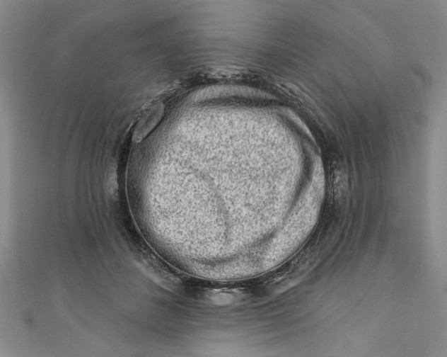 X0000110860508200907021418