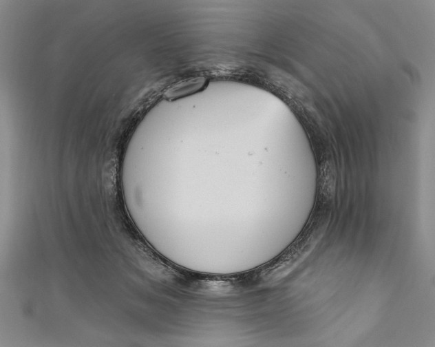 X0000110860509200907021418