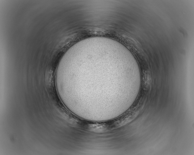 X0000110860511200907021418