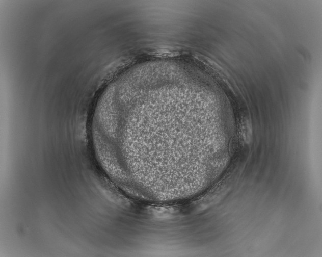 X0000110860512200907021418