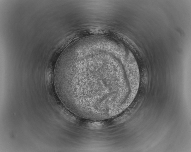 X0000110860513200907021418