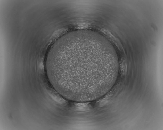 X0000110860516200907021418