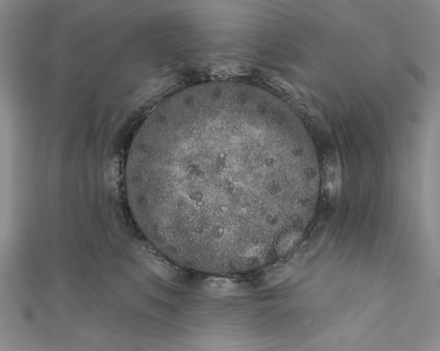 X0000110860519200907021418