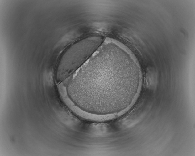 X0000110860520200907021418