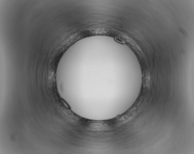 X0000110860521200907021418