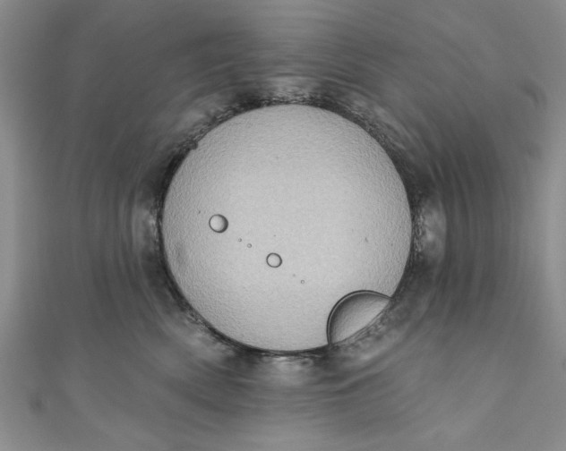 X0000110860522200907021418