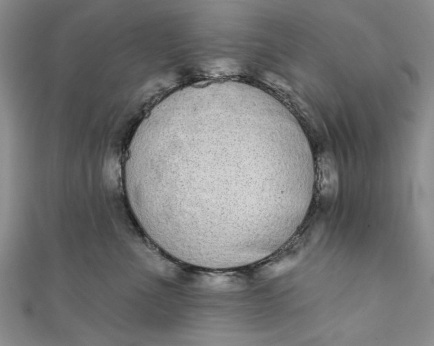 X0000110860523200907021418