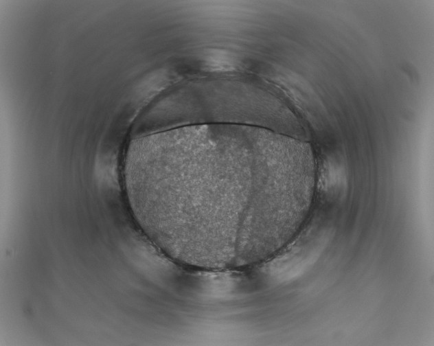 X0000110860524200907021418