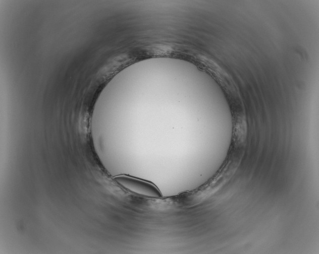 X0000110860525200907021418