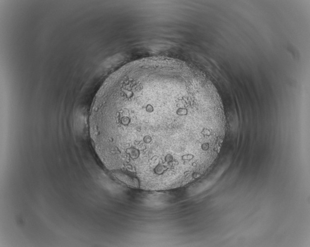 X0000110860527200907021418