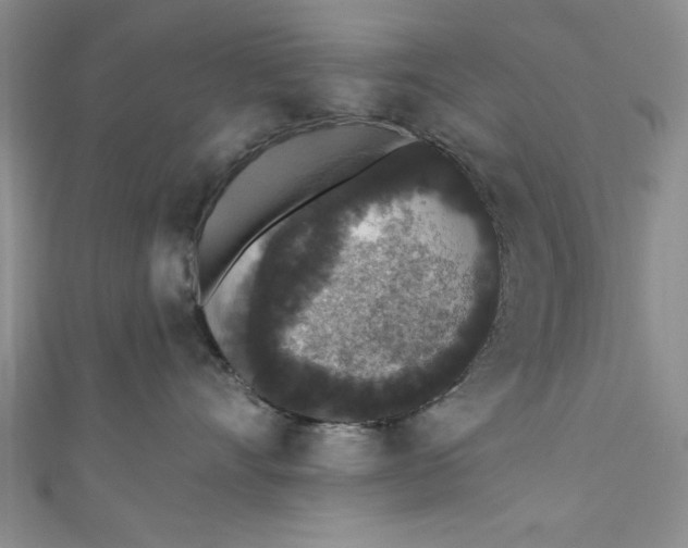 X0000110860528200907021418