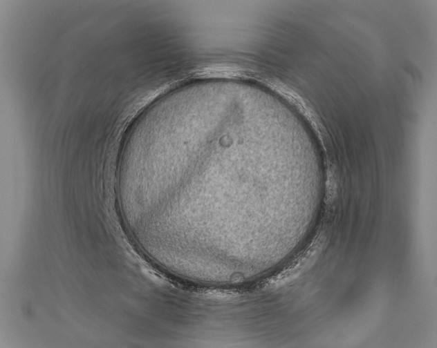 X0000110860529200907021417