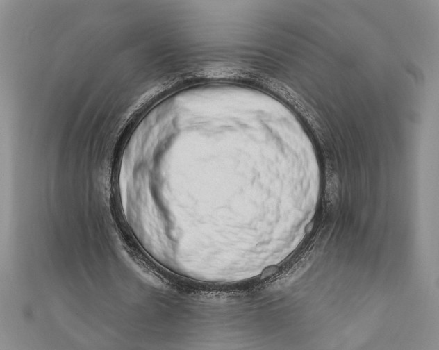 X0000110860530200907021417