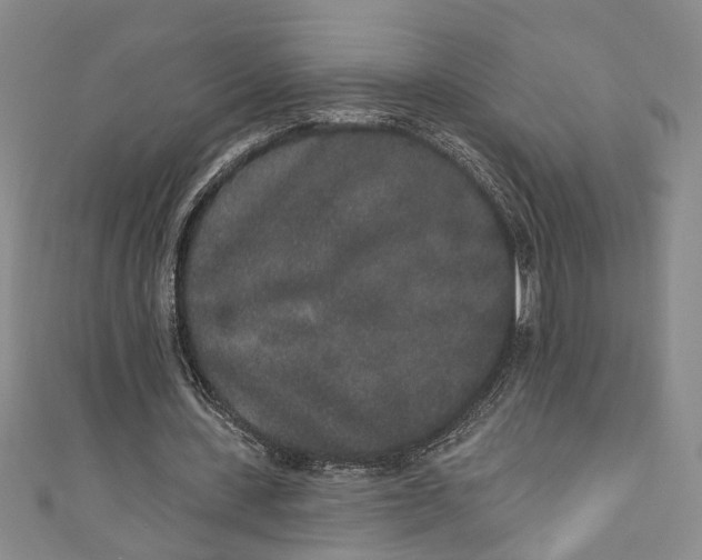 X0000110860531200907021417