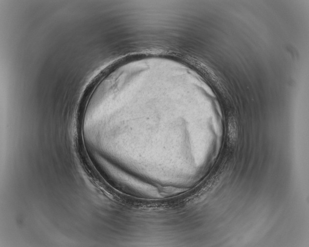 X0000110860532200907021417