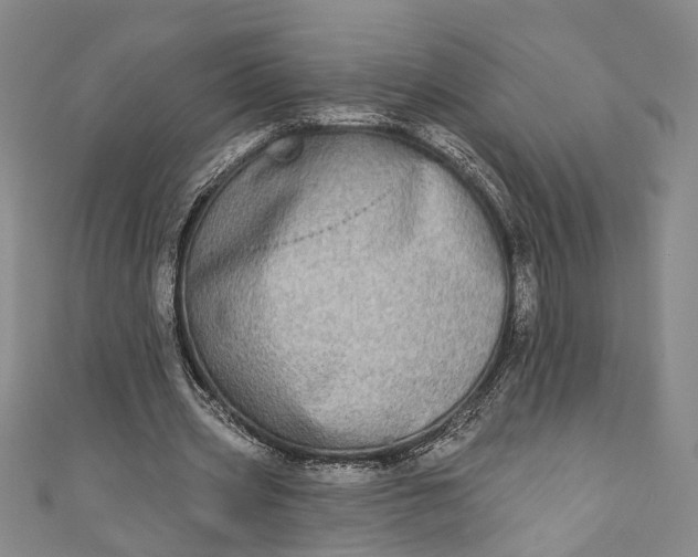 X0000110860533200907021417