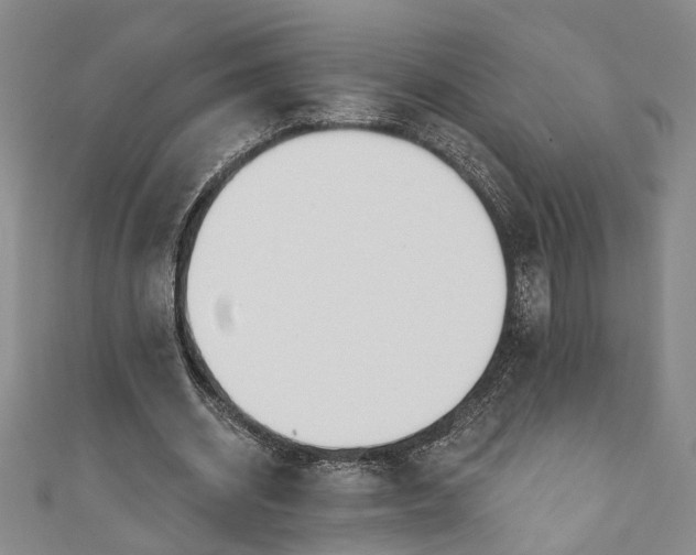 X0000110860534200907021418