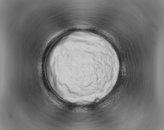 X0000110860535200907021418