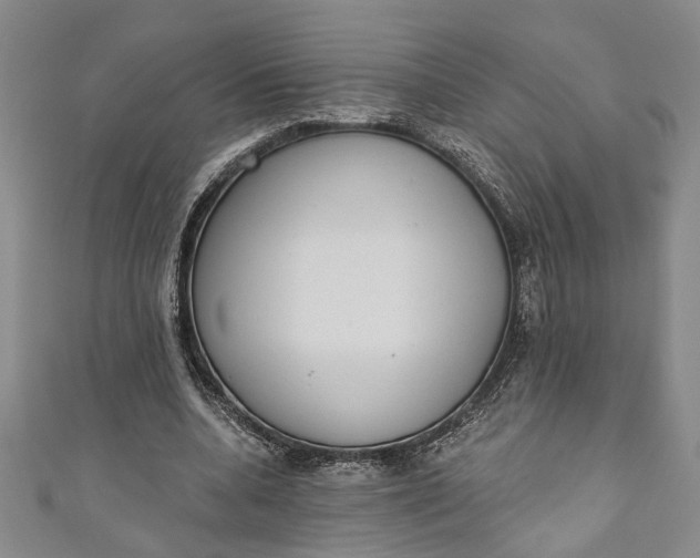 X0000110860536200907021418