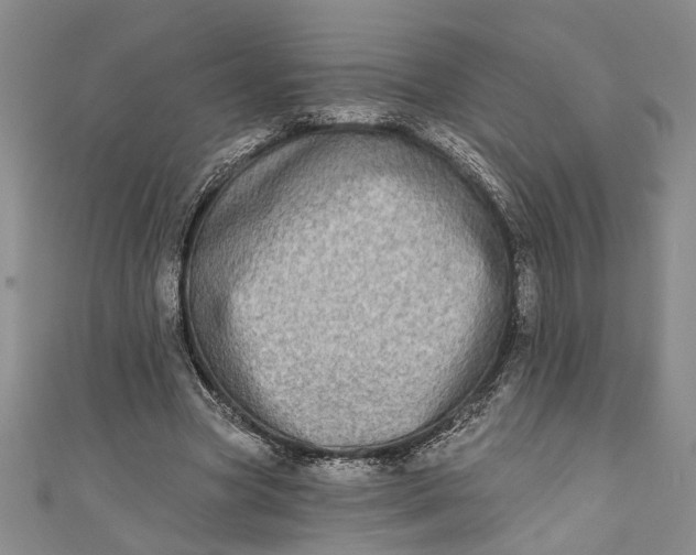 X0000110860537200907021418