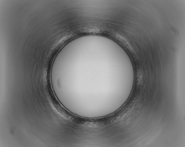 X0000110860538200907021418