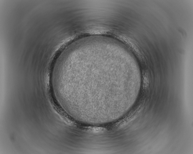 X0000110860539200907021418