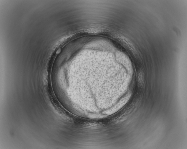 X0000110860540200907021418