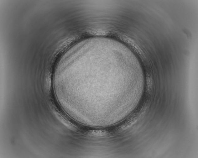 X0000110860541200907021418