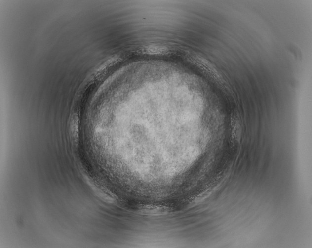 X0000110860542200907021418