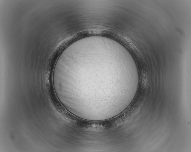 X0000110860543200907021418