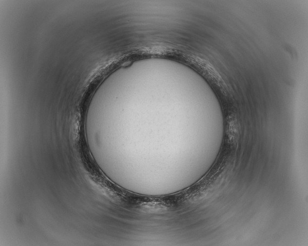 X0000110860544200907021418