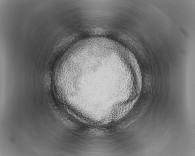 X0000110860545200907021418