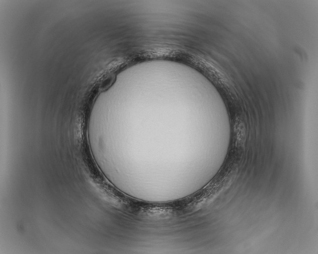 X0000110860546200907021418